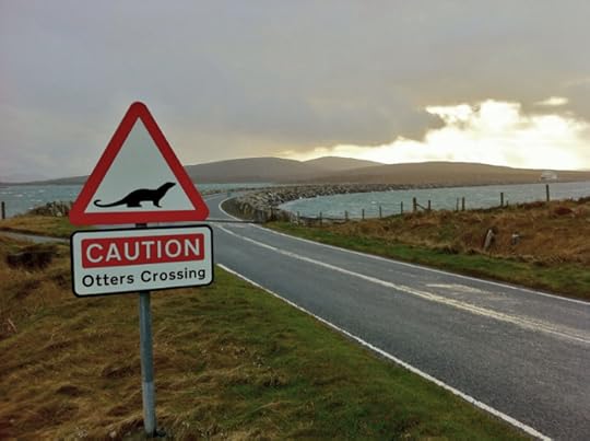 Causeway to Bernaray by Nick Corbett