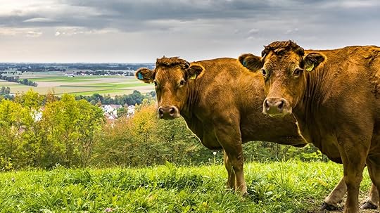 Cowspiracy