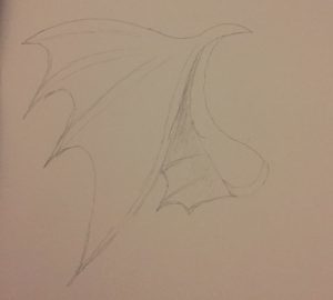 Sketched wings