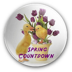 Spring CDB