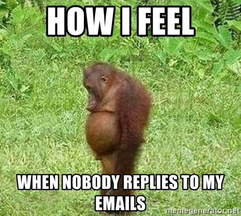 how-i-feel-when-nobody-replies-to-my-emails