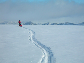Image result for perseverance, antarctica