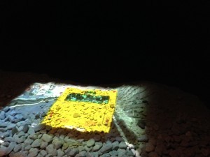 IMG_5376