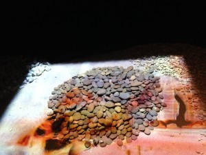 IMG_5377