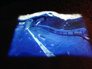 IMG_5379