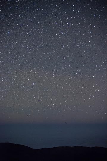 10_WOLFGANG-TILLMANS