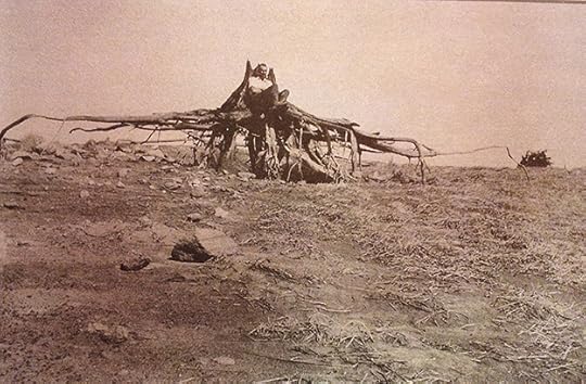 Image and video hosting by TinyPic