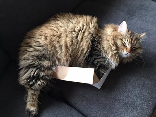 Odin doesn't quite fit in this box.