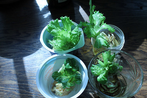 greens