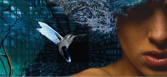 Dream with hummingbird from Pixabay.com