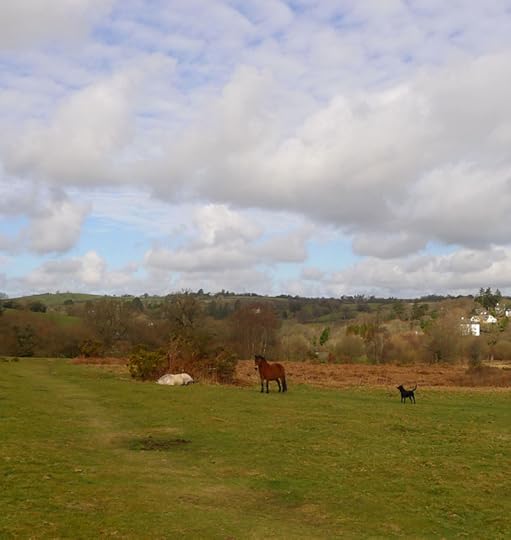 Dartmoor ponies on the Commons