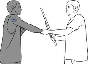 17 How to Take Your Opponent's Stick, Survival Fitness Plan Self-Defense Training