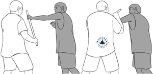 8a Stick Grab Counters, Survival Fitness Plan Self-Defense Stick Fighting