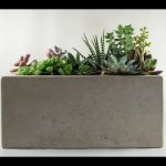 Cool Cement Planter Box 66 For Interior Decor Home with Cement Planter Box