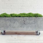 Terrific Cement Planter Box 54 In Interior Decor Home with Cement Planter Box