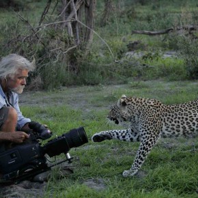 Saving Wild photo