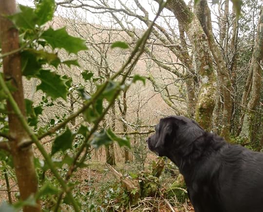 It begins with noticing