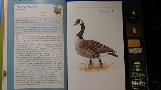 sample 2-page spread for Canadian Goose with one soundtrack