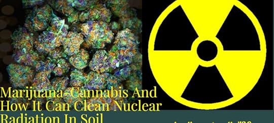 How Cannabis Cleans up Nuclear Radiation and Toxic Soil