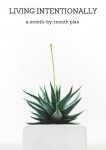 a year filled with intention from momadvice.com