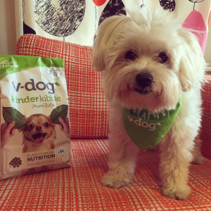 Lulu vegan dog food V-dog