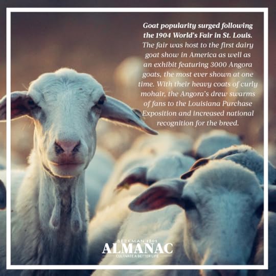Goat Facts, beekman 1802 farm, beekman farm, baby goats, beekman boys, beekman 1802 almanac, fun facts, trivia,