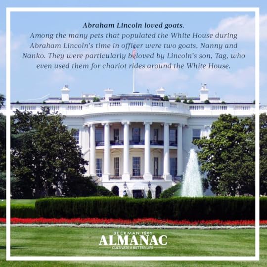 Goat Facts, beekman 1802 farm, beekman farm, baby goats, beekman boys, beekman 1802 almanac, fun facts, trivia,