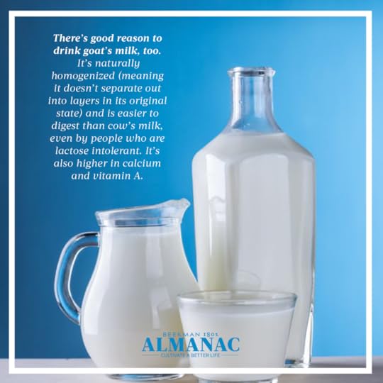 Goat Facts, beekman 1802 farm, beekman farm, baby goats, beekman boys, beekman 1802 almanac, fun facts, trivia,