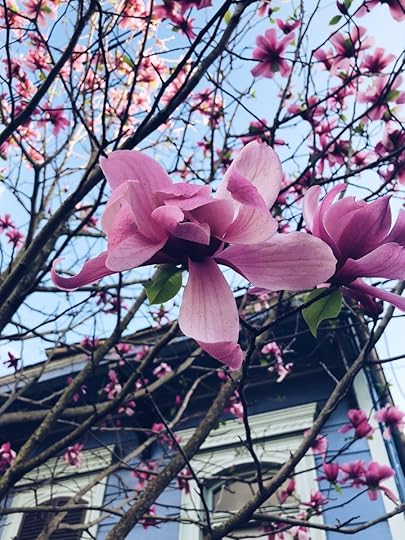 Let It Be Sunday, 161!