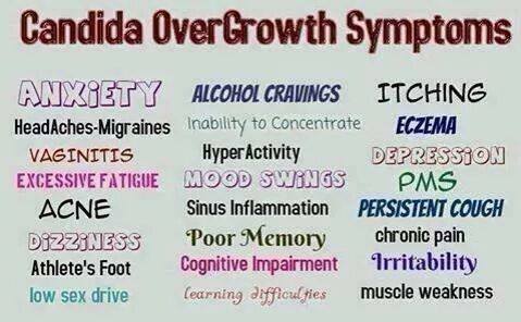 Candida_Wellness_-Nutrition_Chiropractic_prevention