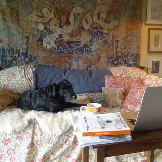 Illustration by Anne Anderson