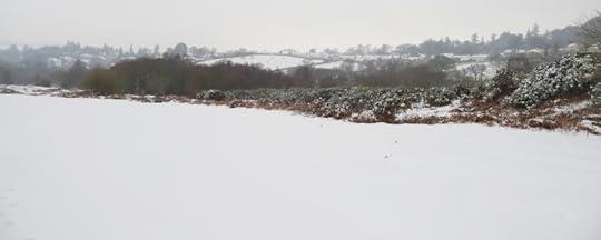 The commons in the snow