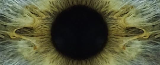 jealousy taming dragons