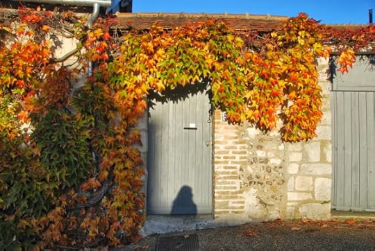 Leaves stone building
