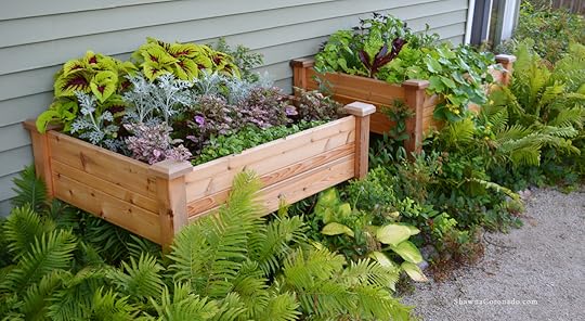 Design a pink elevated bed container garden