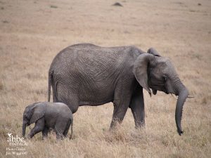 Another—one more “A” plus “other”