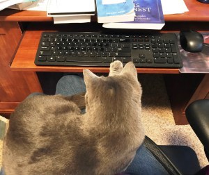 Utmost Response, responding to each morning's My Utmost for His HIghest reading, how do you understand My Utmost for His Highest? Facebook, Oswald Chambers