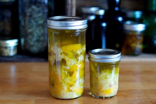 Two jars of lemon confit