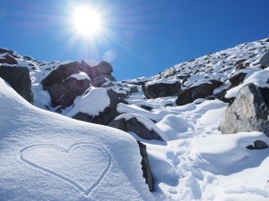 Sun on snow from Pexels