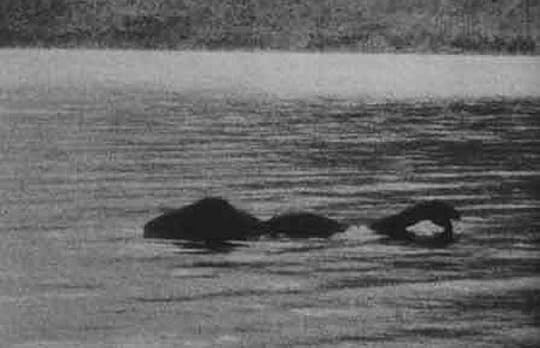 ness-14_1972_1470341i.jpg