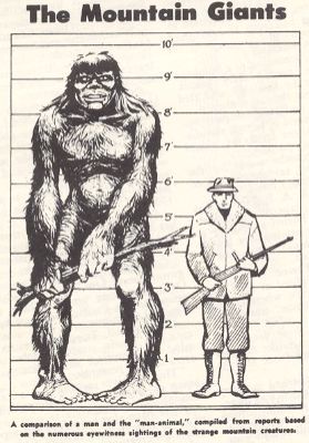 saskquatch-man 2.jpg