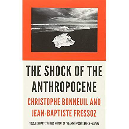 The Shock of the Anthropocene: The Earth, History and Us