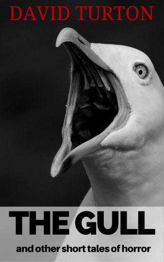 gull 1