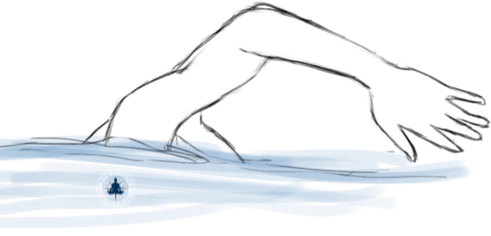 13 The Fastest Way to Swim Above Water, Survival Fitness Plan Swim Workouts Training