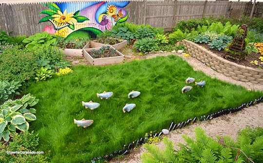 No Mow Grass with FishintheGarden copyright Shawna Coronado