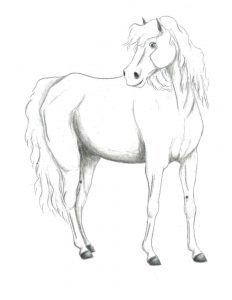 Esperanza: Az út a Kontinensre | első rész