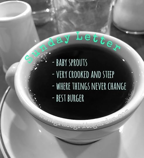 This week's Sunday Letter includes baby sprouts, very crooked and steep, etc.