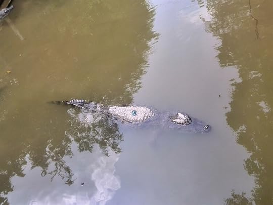 10 Mekong Delta, Cool Things to do in Vietnam, Survive Travel
