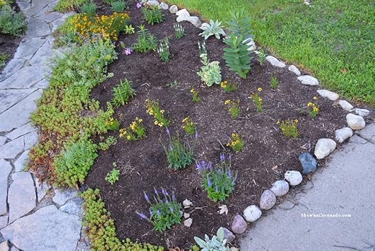 How to Rebuild a Perennial Garden Bed Finished