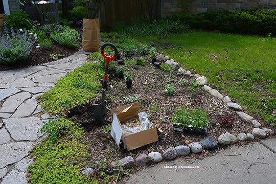 How to Rebuild a Perennial Garden Bed Before Photo